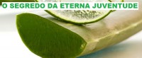 /album/galeria-de-fotos/babosa-aloe-vera-jpg/